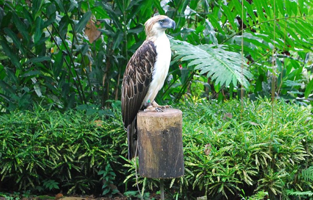 La Anclar Hotel Attraction Pictures